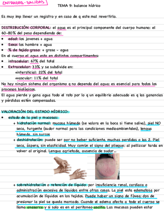 Miniatura del documento Balance-hidrico.pdf