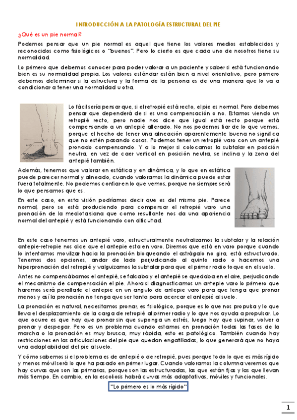 Miniatura del documento apuntes-primer-parcial.pdf
