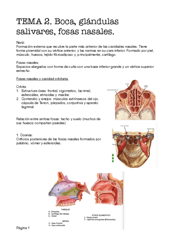 Miniatura del documento Tema-2.-Bloque-3.pdf