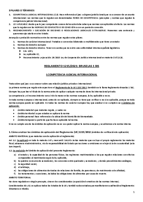 Miniatura del documento INTERNACIONAL-PRIVADO-TODO.pdf