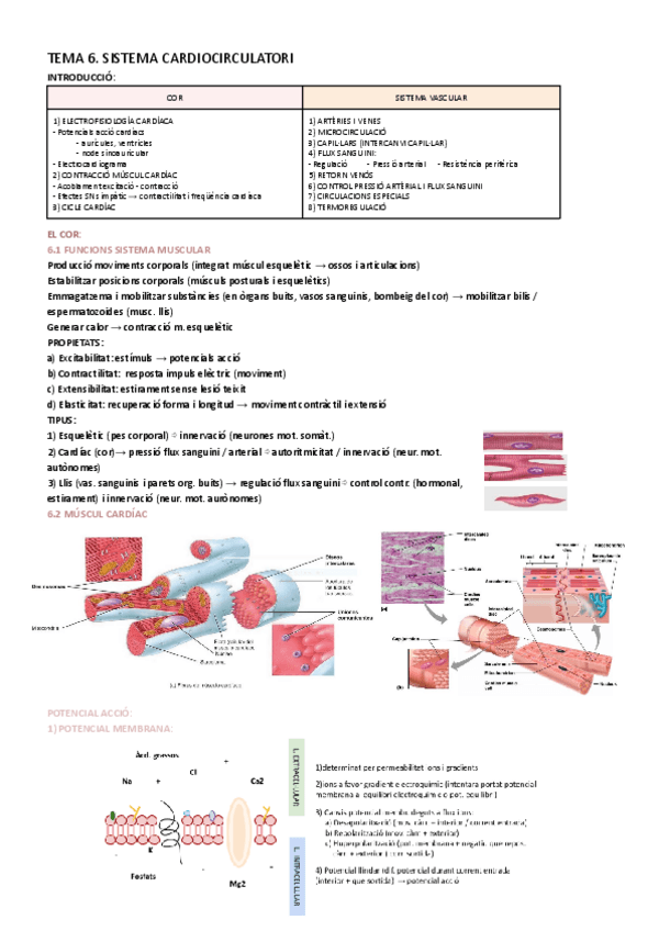 Miniatura del documento TEMA-6.pdf
