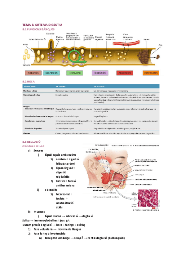 Miniatura del documento TEMA-8.pdf