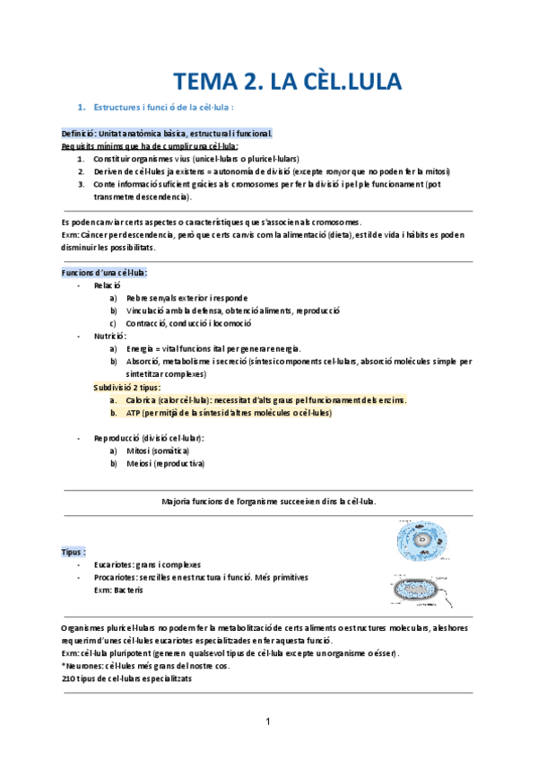 Miniatura del documento tema-2.-la-cellula.pdf