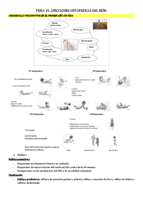 Miniatura del documento tema-19.-afecciones-ortopedicas-nino.pdf