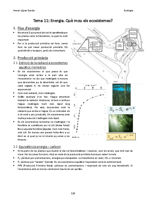 Miniatura del documento Eco-Apunts-bloc-3-Tema-11.pdf