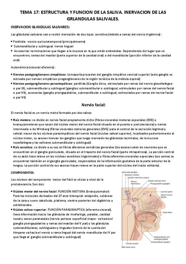 Miniatura del documento TEMA 17.pdf