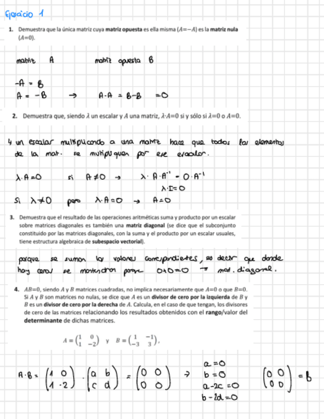 Miniatura del documento Algebra-Ejercicios-P1P2.pdf