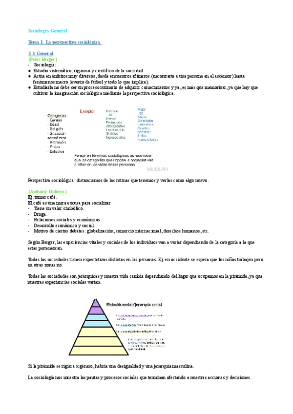 Miniatura del documento TEMAS-SOCIOLOGIA.pdf