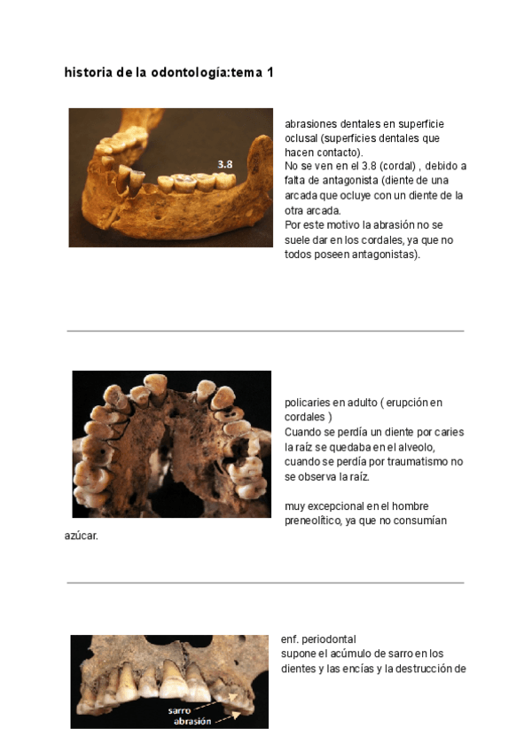 Miniatura del documento explicacion-FOTOS.pdf
