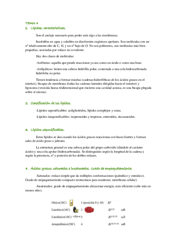 Miniatura del documento TEMA-4.pdf