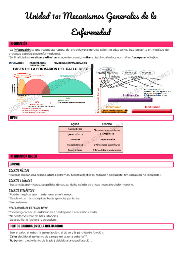 Miniatura del documento Unidad-1a-Mecanismos-Generales-de-la-Enfermedad.pdf