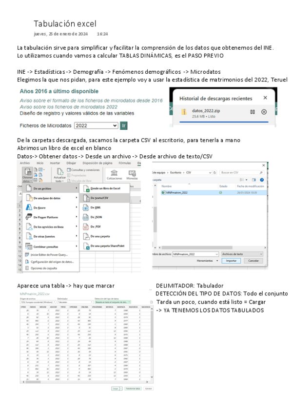 Miniatura del documento Tabulacion-excel-para-tablas-dinamicas.pdf