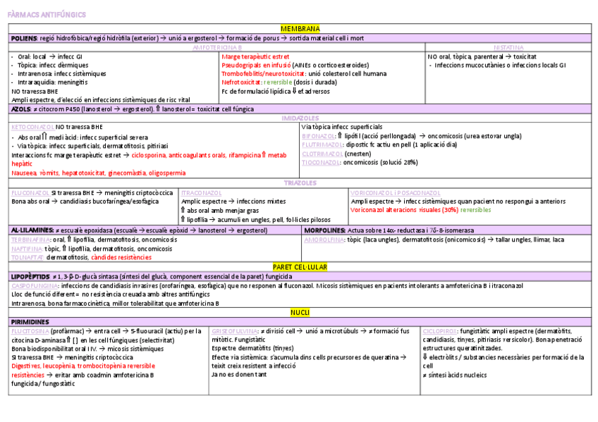 Miniatura del documento TAULA-COMPLETA-FARMACS-FINAL.pdf