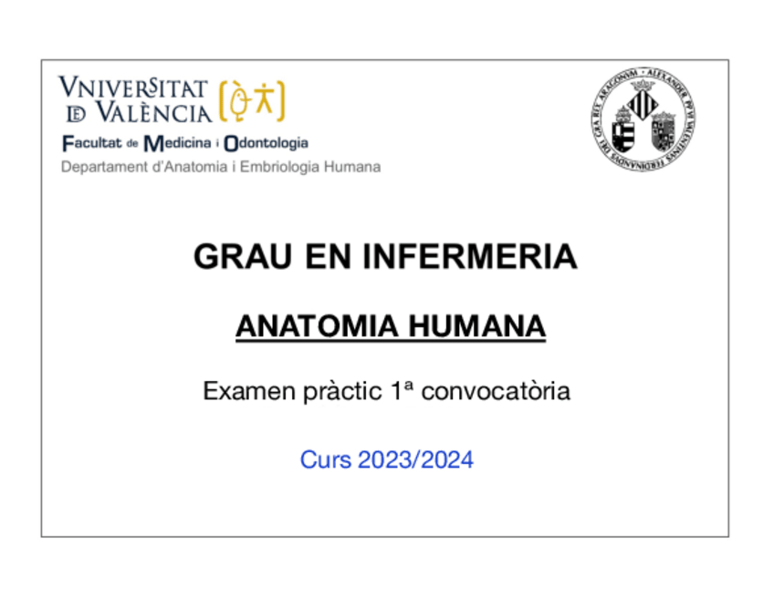 Miniatura del documento EXAMEN-PRACTICO-ANATOMIA-2023/24.pdf