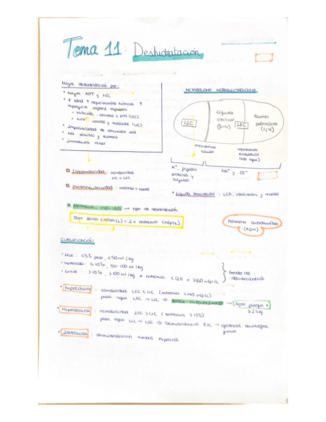 Miniatura del documento Resumen-esquematizado-segundo-parcial.pdf