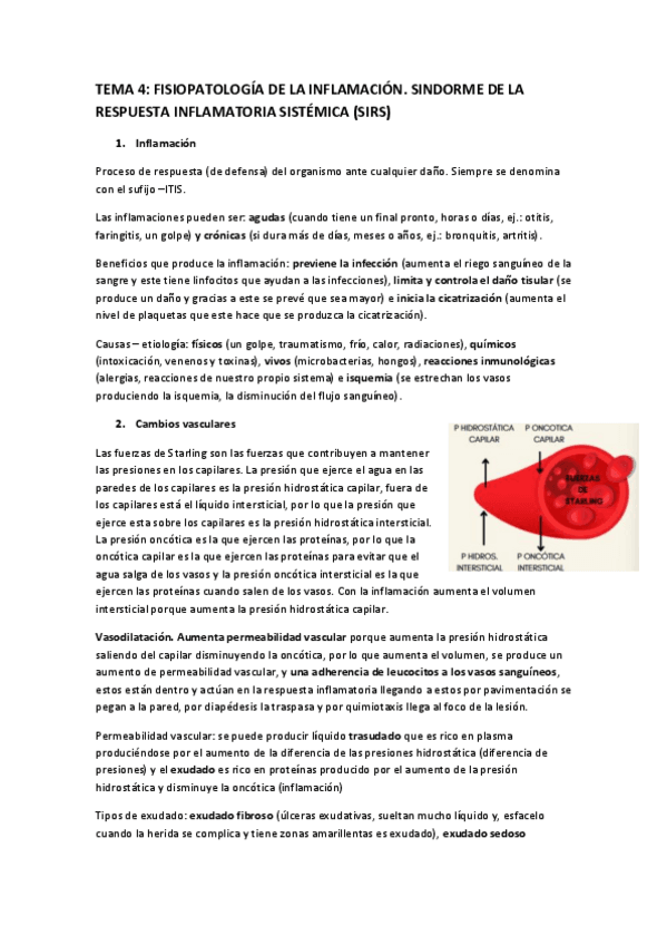 Miniatura del documento TEMA-4.pdf