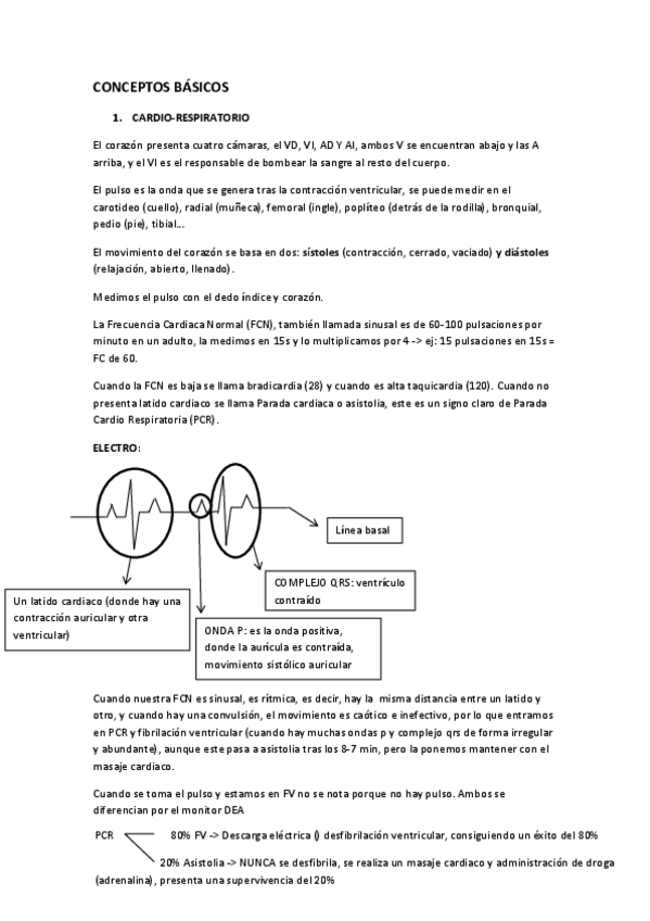 Miniatura del documento CONCEPTOS-BASICOS.pdf