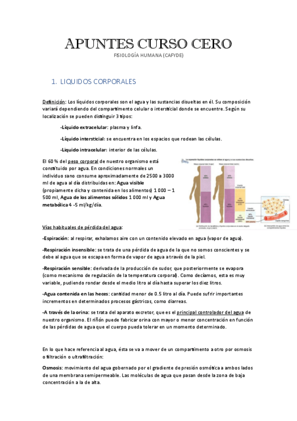 Miniatura del documento APUNTES CURSO CERO FISIOLOGIA HUMANA.pdf