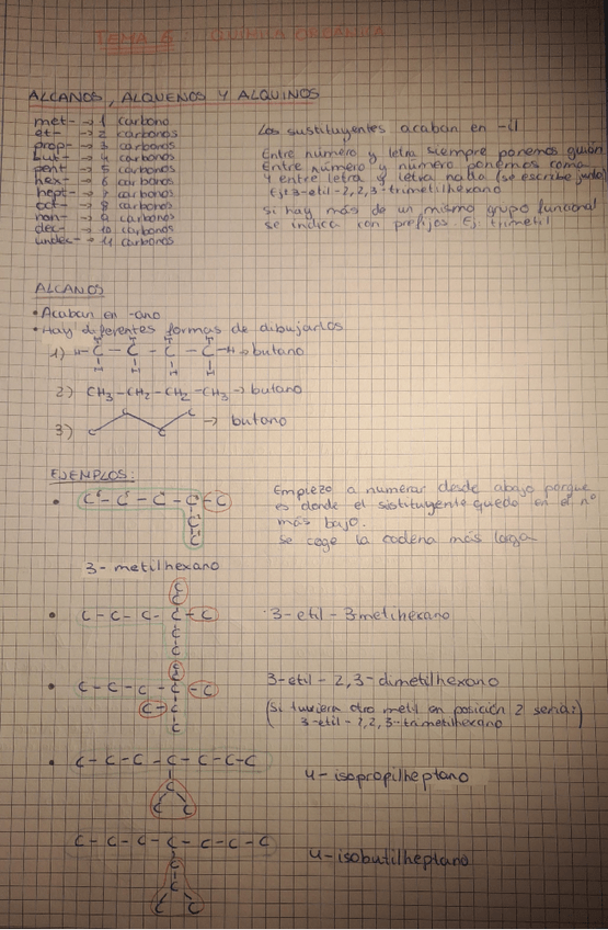 Miniatura del documento Apuntes-Organica.pdf