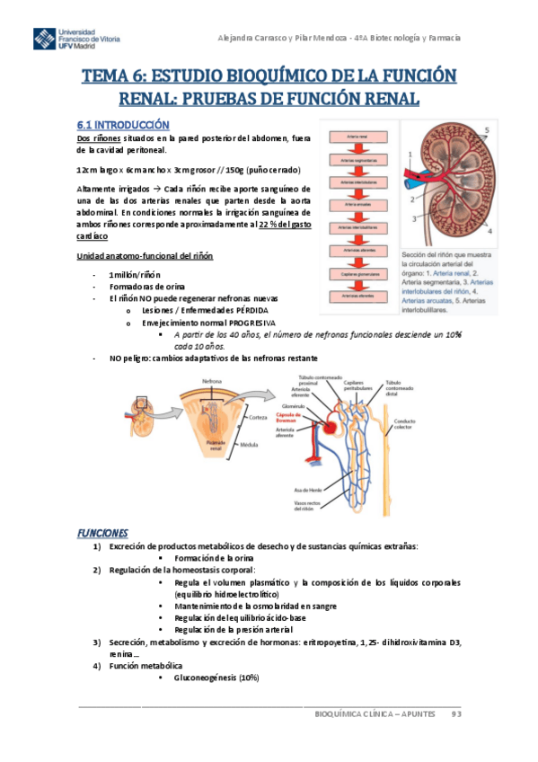 Miniatura del documento Apuntes-BIOQUIMICA-CLINICA-Tema-6.pdf