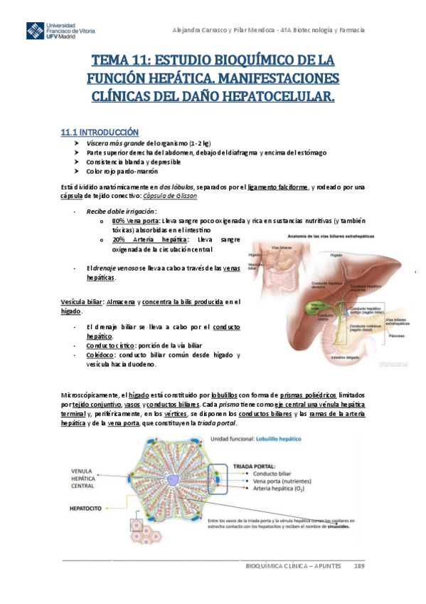 Miniatura del documento Apuntes-BIOQUIMICA-CLINICA-Tema-11.pdf