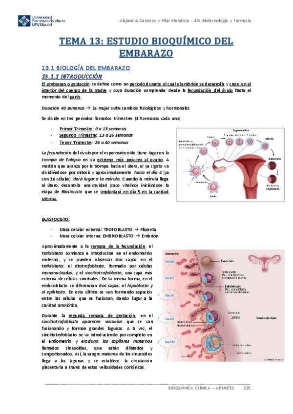 Miniatura del documento Apuntes-BIOQUIMICA-CLINICA-Tema-13.pdf