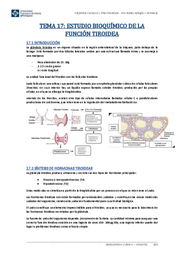 Miniatura del documento Apuntes-BIOQUIMICA-CLINICA-Tema-17.pdf