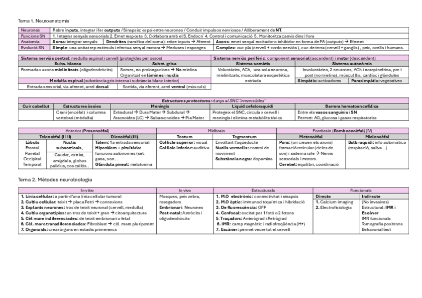 Miniatura del documento ESQUEMA NEUROLOGIA.pdf