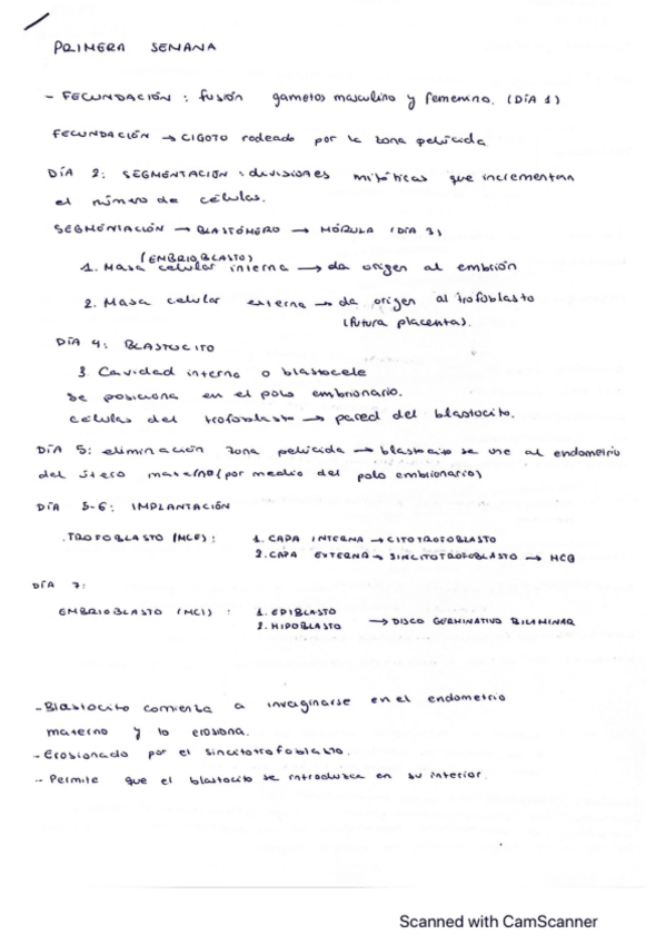 Miniatura del documento EMBRIOLOGIA-ORDEN-CRONOLOGICO.pdf