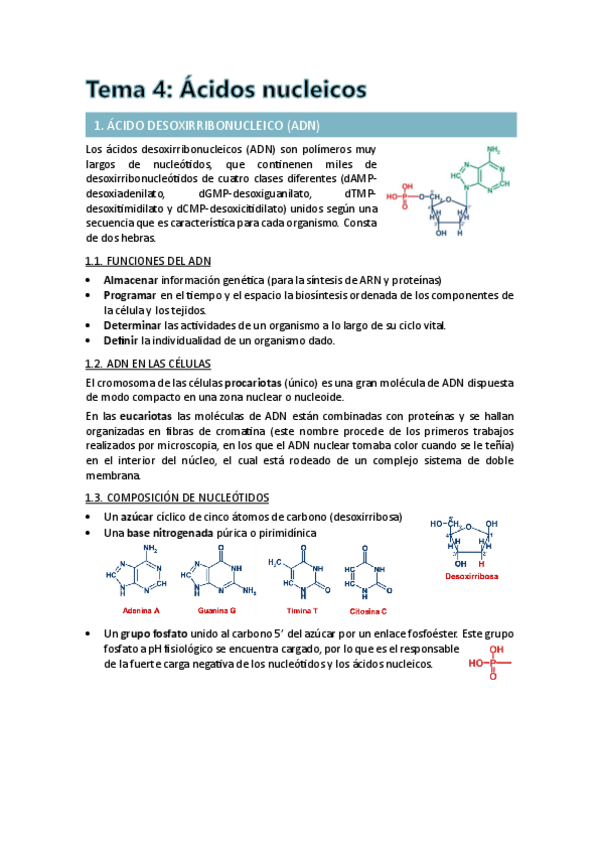 Miniatura del documento Bioquimica-Tema-4.pdf