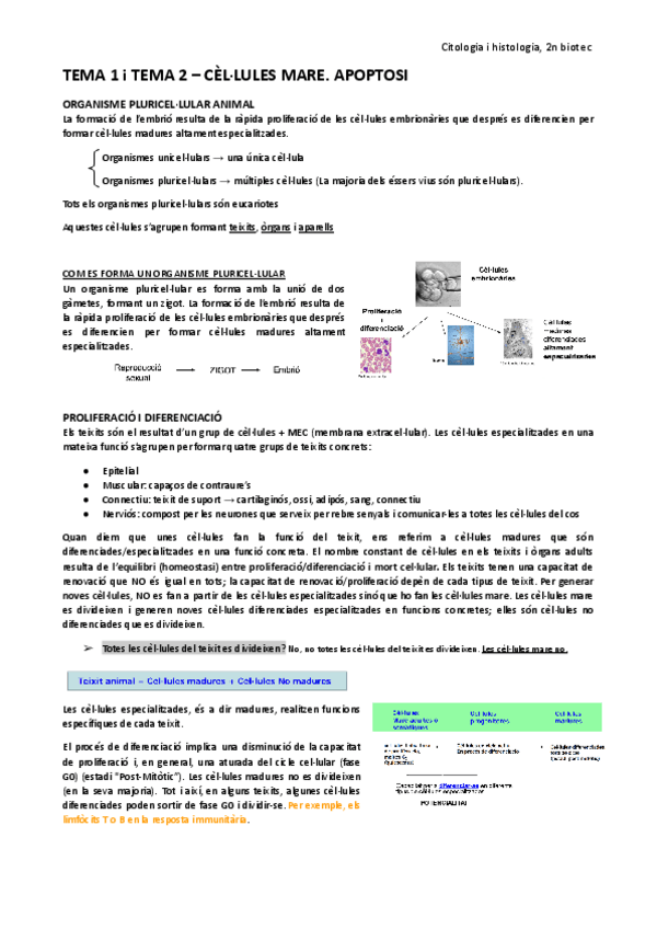 Miniatura del documento Tema-1-i-Tema-2-Apoptosi-animal.pdf