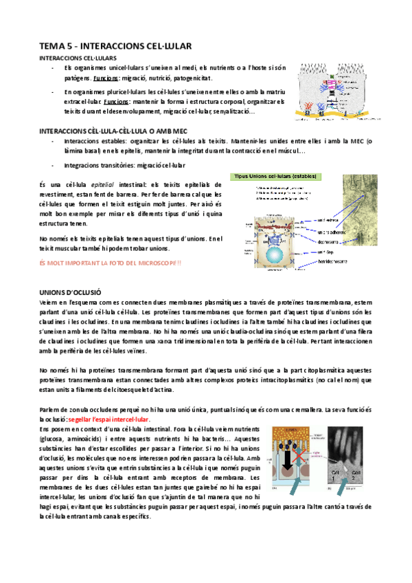 Miniatura del documento Tema-5-interaccions-cellulars-animal.pdf