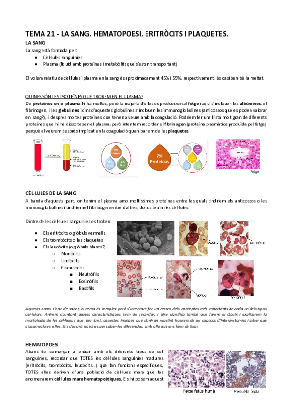 Miniatura del documento Tema-21-La-sang.-Hematopoiesi.-Eritrocits-i-plaquetes-animal.pdf