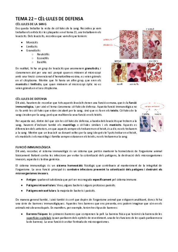 Miniatura del documento Tema-22-Cellules-de-defensa-animal.pdf