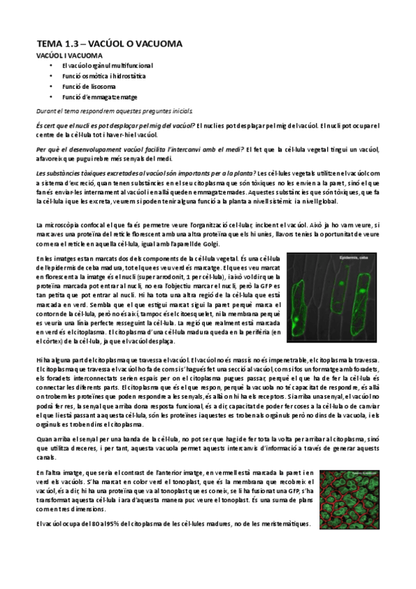 Miniatura del documento Tema-1.3-Vacuol-i-vacuoma.pdf