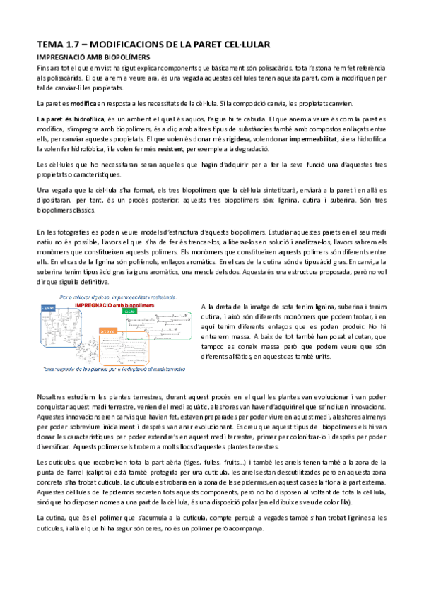 Miniatura del documento Tema-1.7-Modificacions-de-la-paret-cellular.docx-Documents-de-Google.pdf