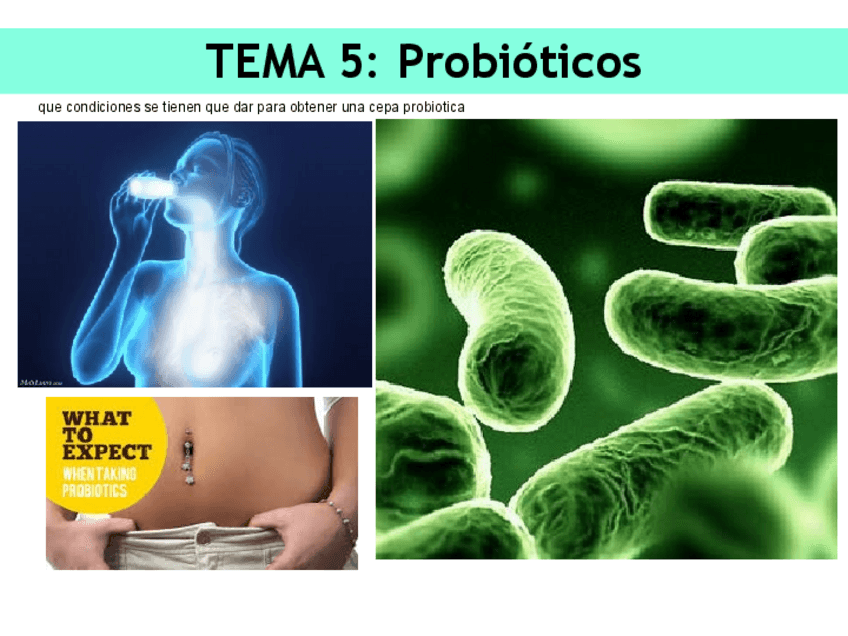 Miniatura del documento Tema05-202324.pdf