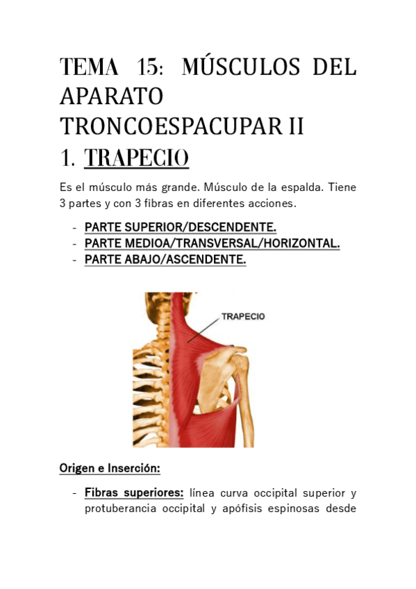 Miniatura del documento TEMA-15.pdf