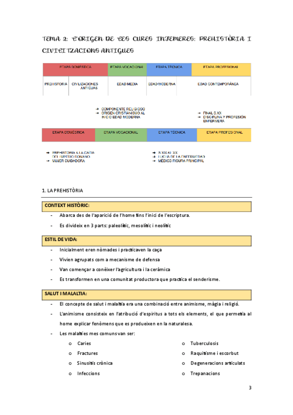 Miniatura del documento T2.-Origen-de-les-cures-infermeres-prehistoria-i-civilitzacions-antigues.pdf