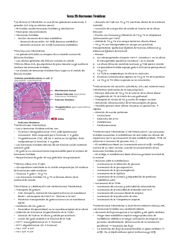 Miniatura del documento TEMA-25-FISIOLOGIA.pdf