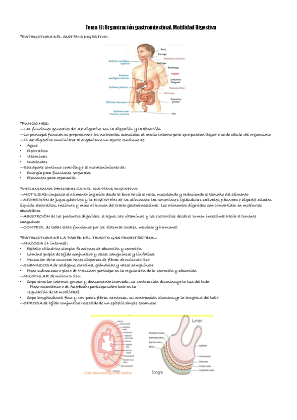Miniatura del documento TEMA-17-FISIOLOGIA.pdf