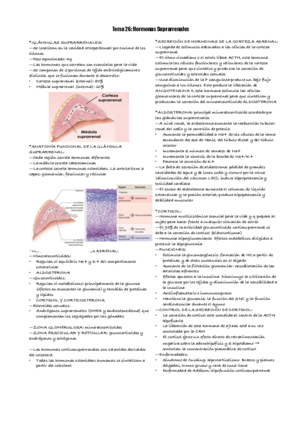 Miniatura del documento TEMA-26-FISIOLOGIA.pdf