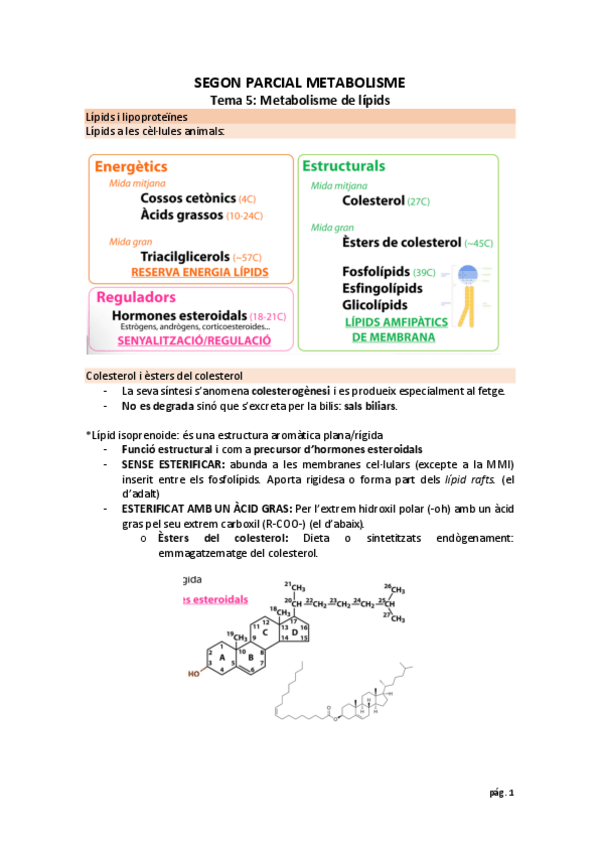Miniatura del documento segundo-parcial-animal-metabolismo.pdf