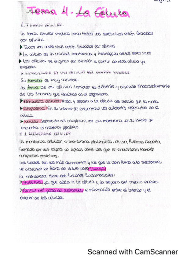 Miniatura del documento Tema-4-Imagen-corporal.pdf