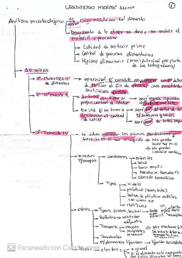 Miniatura del documento Resumen-laboratorio-micro-alimentarian1.pdf