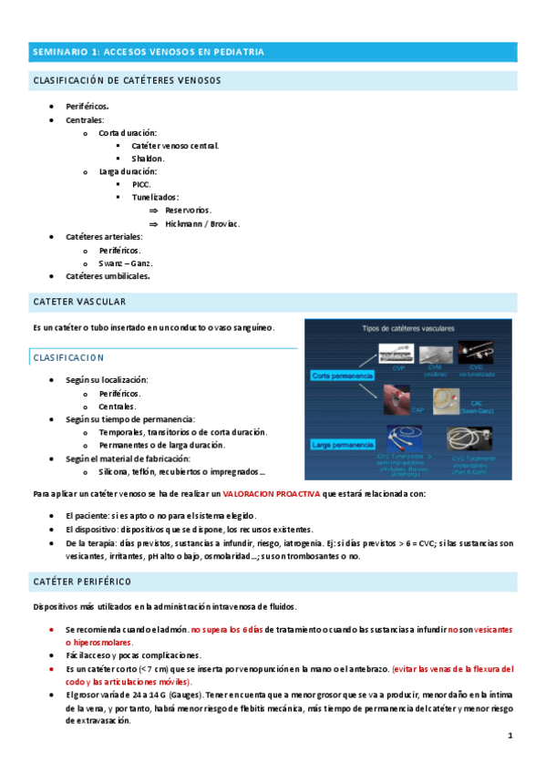 Miniatura del documento SEMINARIOS.pdf