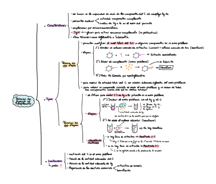 Miniatura del documento TECNICAS-DE-FIJACION-esquema.pdf