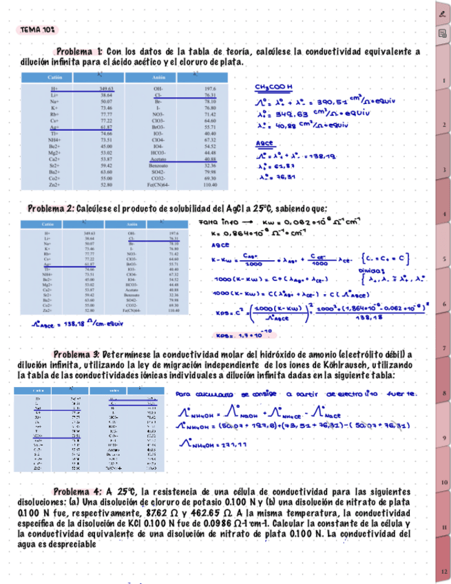 Miniatura del documento problemas-leccion-10.pdf