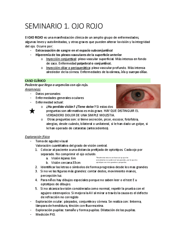 Miniatura del documento SEMINARIO-1.-OJO-ROJO.pdf