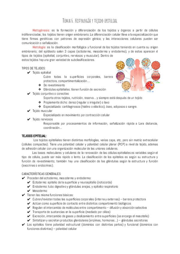 Miniatura del documento TEMA-6TEJIDO-EPITELIAL.docx.pdf